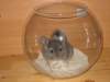 Photo Number 7
