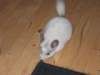 Photo Number 7
